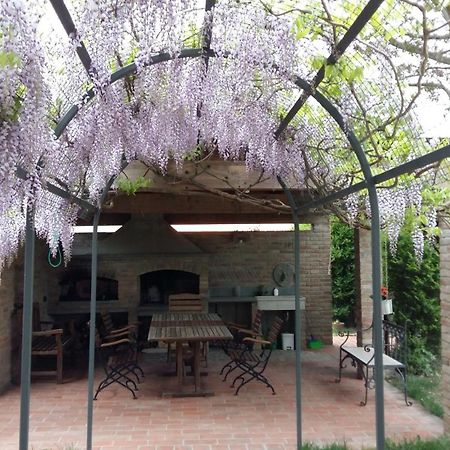B&B Le Ripe Lugo  Εξωτερικό φωτογραφία
